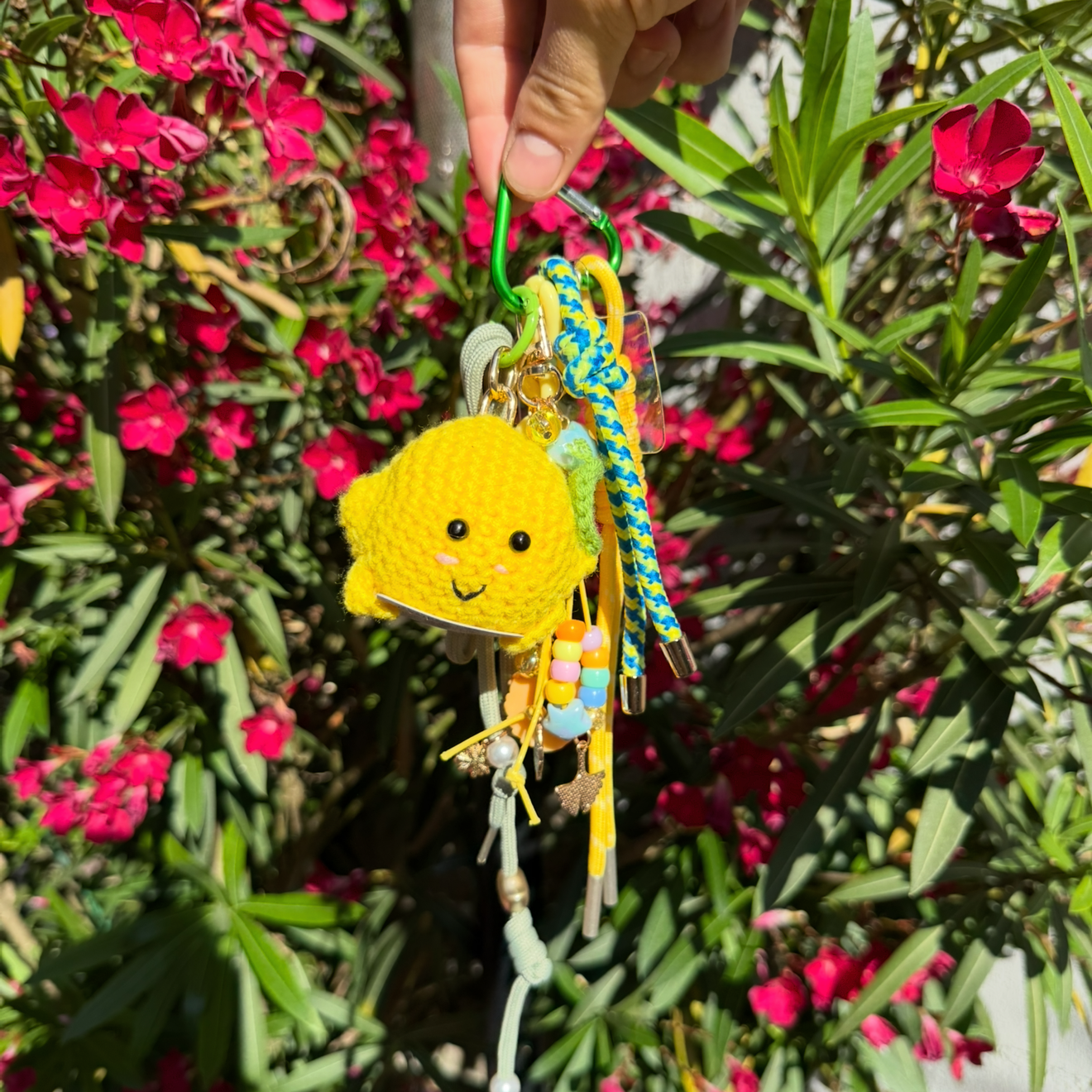 NOS GRIGRI